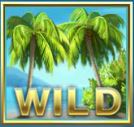 Mega Fortune Dreams gamereview - het wildsymbool