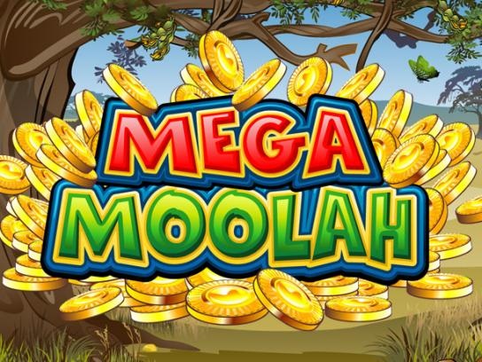 Speler van videoslot Mega Moolah wint hoogste jackpot ooit